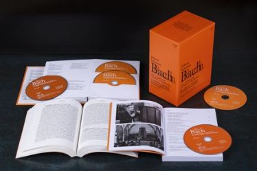 Bücher und CDs in Orange